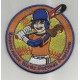 Scouting, badges