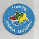 Scouting, badges