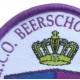 vergroten foto van deel van een gewevem badge